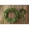 Hello Honey® Preserved Genuine Boxwood Wreath